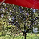 Schlafen In Erfurt- Nicht 0815