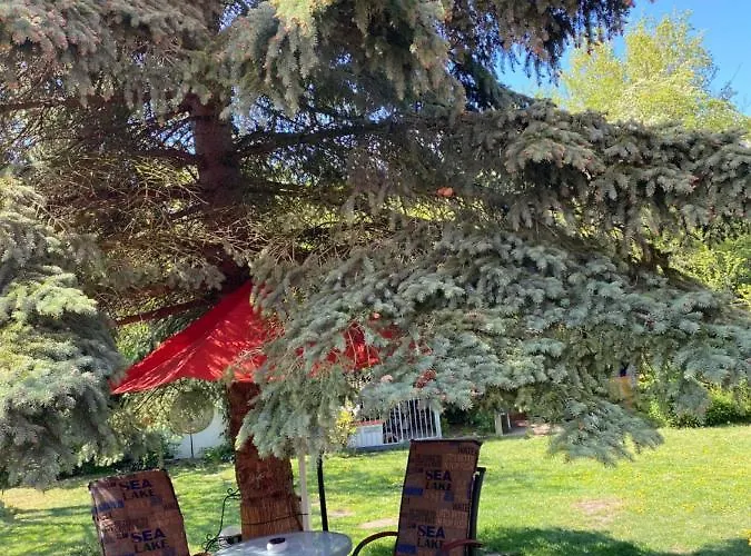 Schlafen In Erfurt- Nicht 0815 Erfurt